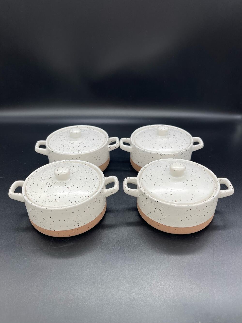 Dolly Parton Stoneware Speckled Casserole Dishes with Lids Set of 4